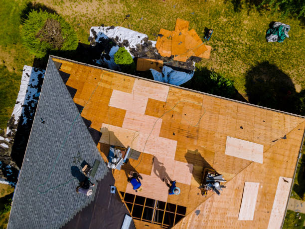 Best Commercial Roofing Services  in Ramsey, MN