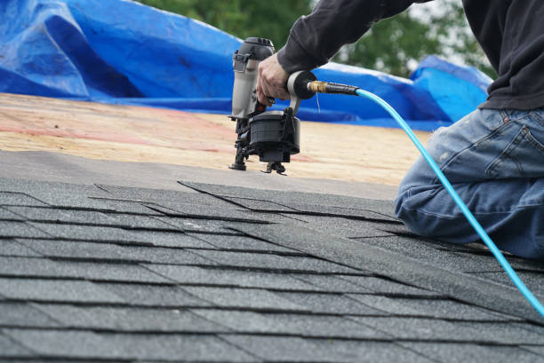 Best Shingle Roofing Installation  in Ramsey, MN